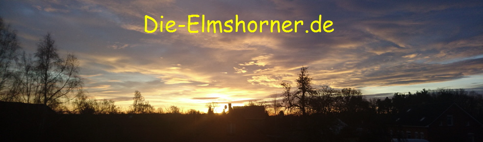 Startseite - die-elmshorner.de